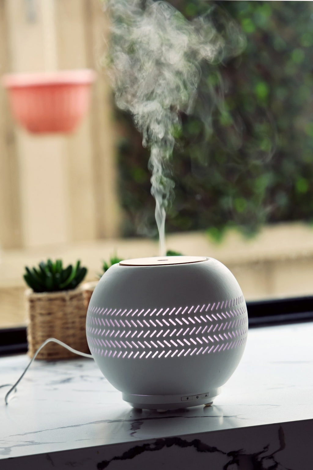 Ultraschall Diffuser mit Pflanze